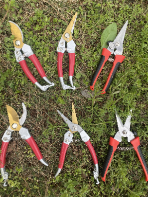 Garden Shear